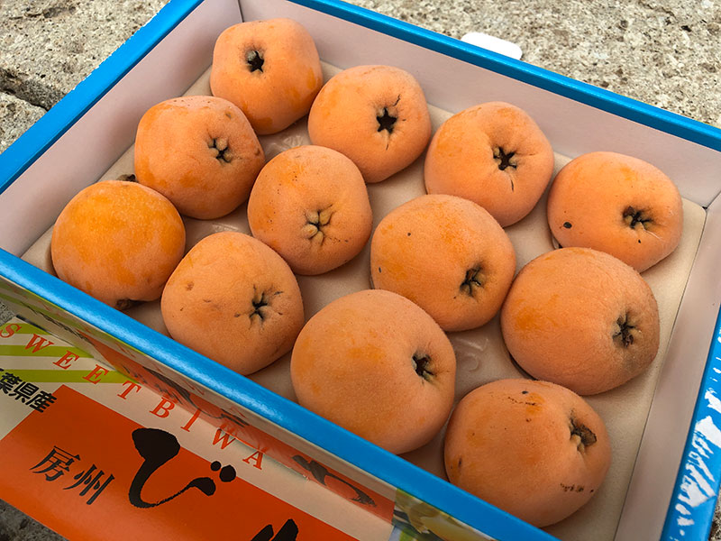 枇杷
